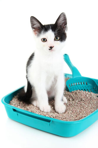 Kitty Litter Mats From Recycled Goods